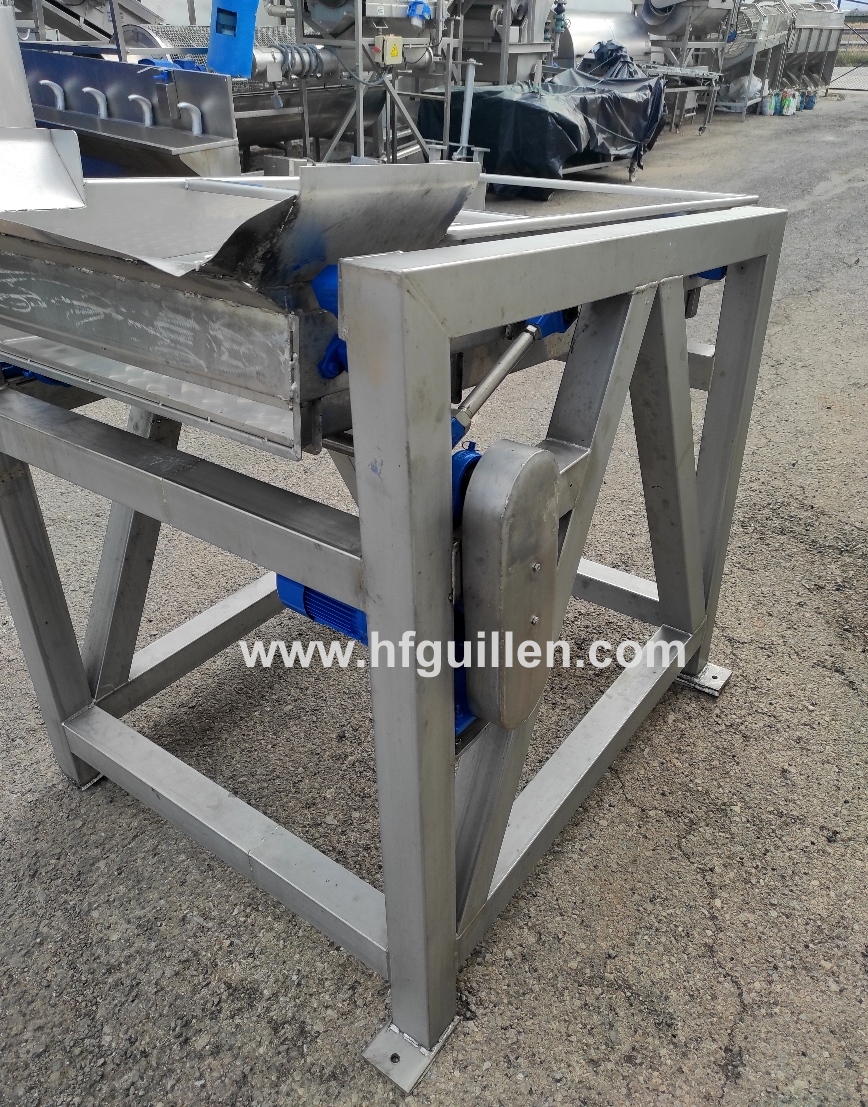 TRASPORTATORE ALLINEATORE VIBRANTE PER PESCHE FMA INOX in vendita - foto 2