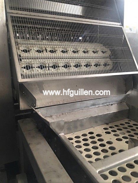 DENOCCIOLATRICE DI PESCHE CTI FOODTECH 320 APA in vendita - foto 2