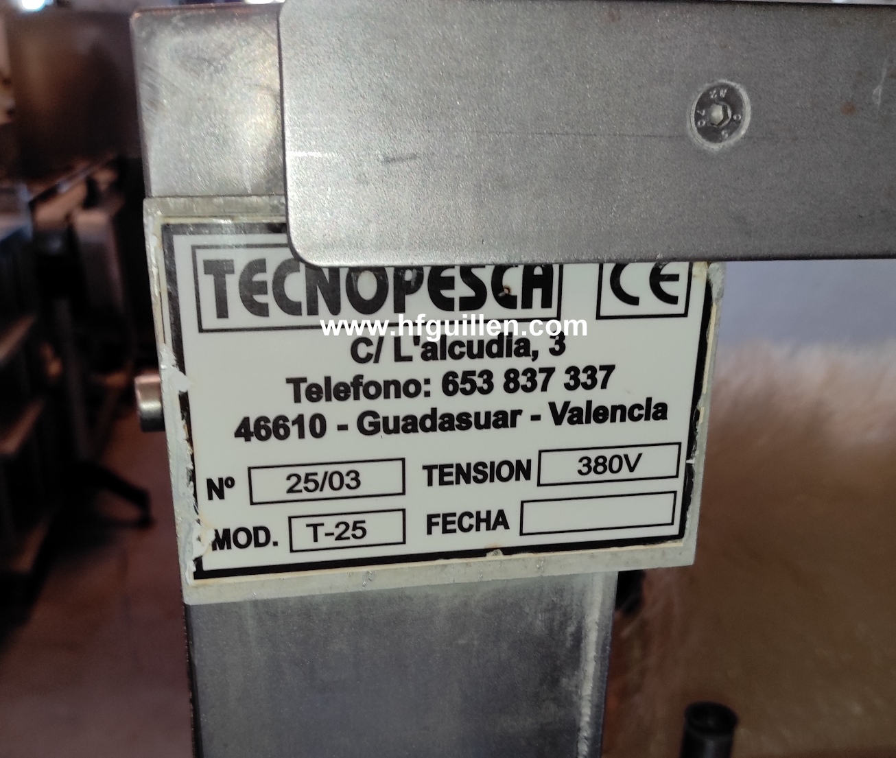 REF-2539 LAVATRICE SPAZZOLATRICE PER SALMONE TECNOPESCA in vendita - foto 4