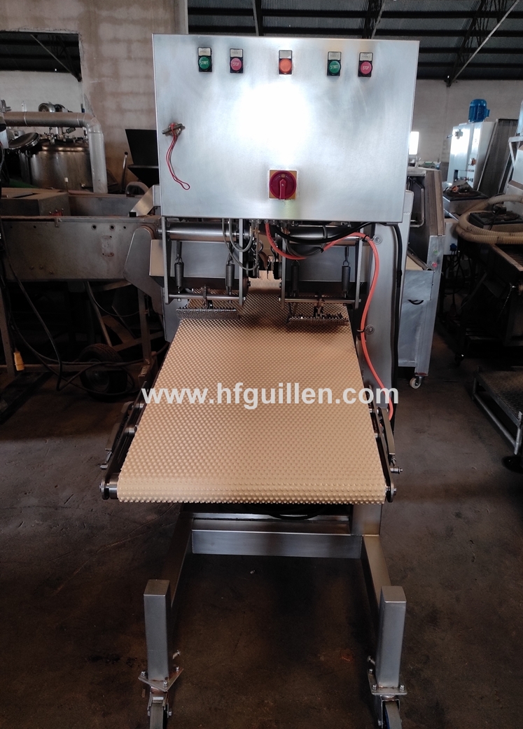 TOGLI LISCHE DI SALMONE CARNITECH CT2612 DOPPIA LINEA in vendita - foto 3