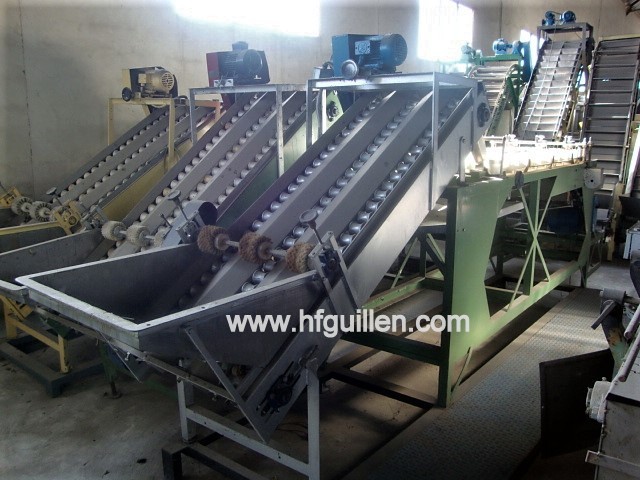 Lavorazione frutta e verdura in vendita