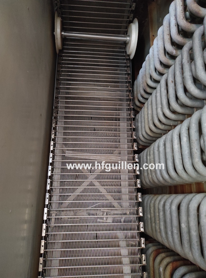 TUNNEL DI SURGELAZIONE A SPIRALE FRIGOSCANDIA in vendita - foto 6
