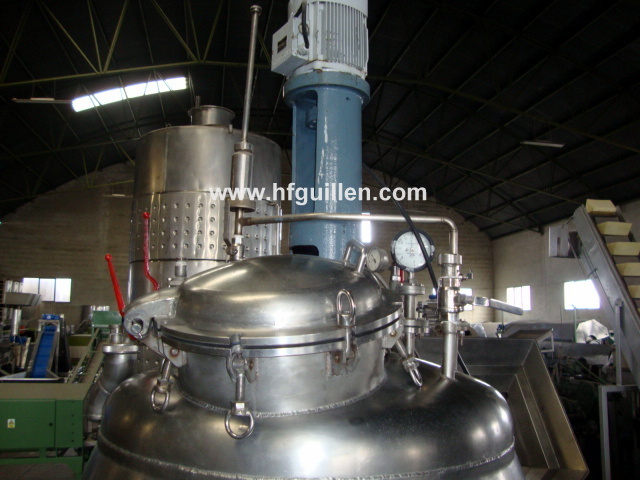 REF-54 REATTORE A SERBATOIO AGITATO 900 LITRI in vendita - foto 6
