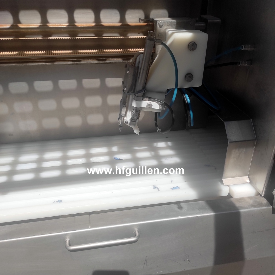 TAGLIERINA PORZIONATRICE MAREL LASER EYE IPM3 X300 in vendita - foto 9
