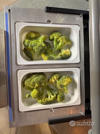 Termosigillatrice alimentare + stampo da 1/4 di gastro in vendita - foto 6