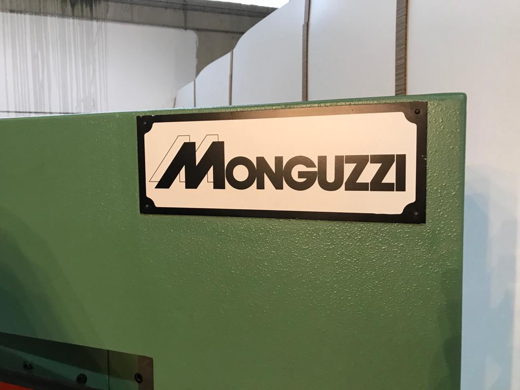 VI692 - Taglierina per legno monguzzi in vendita - foto 9