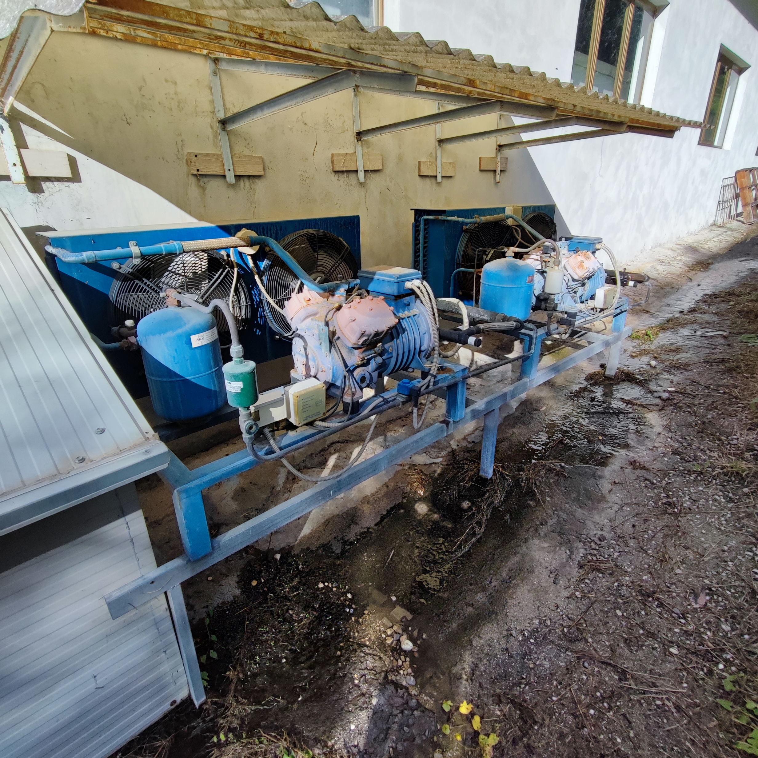 celle frigorifere surgelati in vendita - foto 4