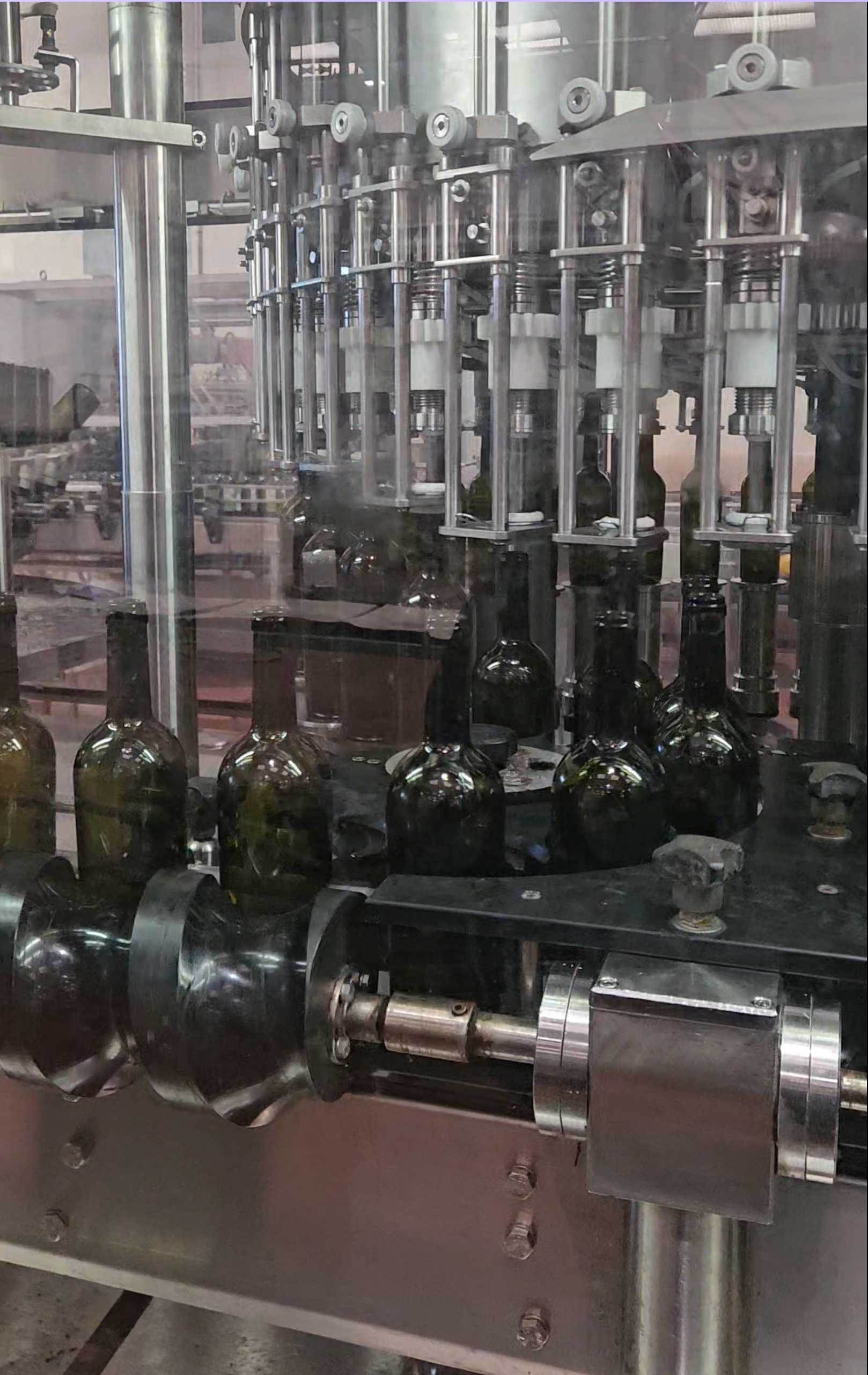 LC597 Linea completa usata per vino fermo - 8000 BPH in vendita - foto 6