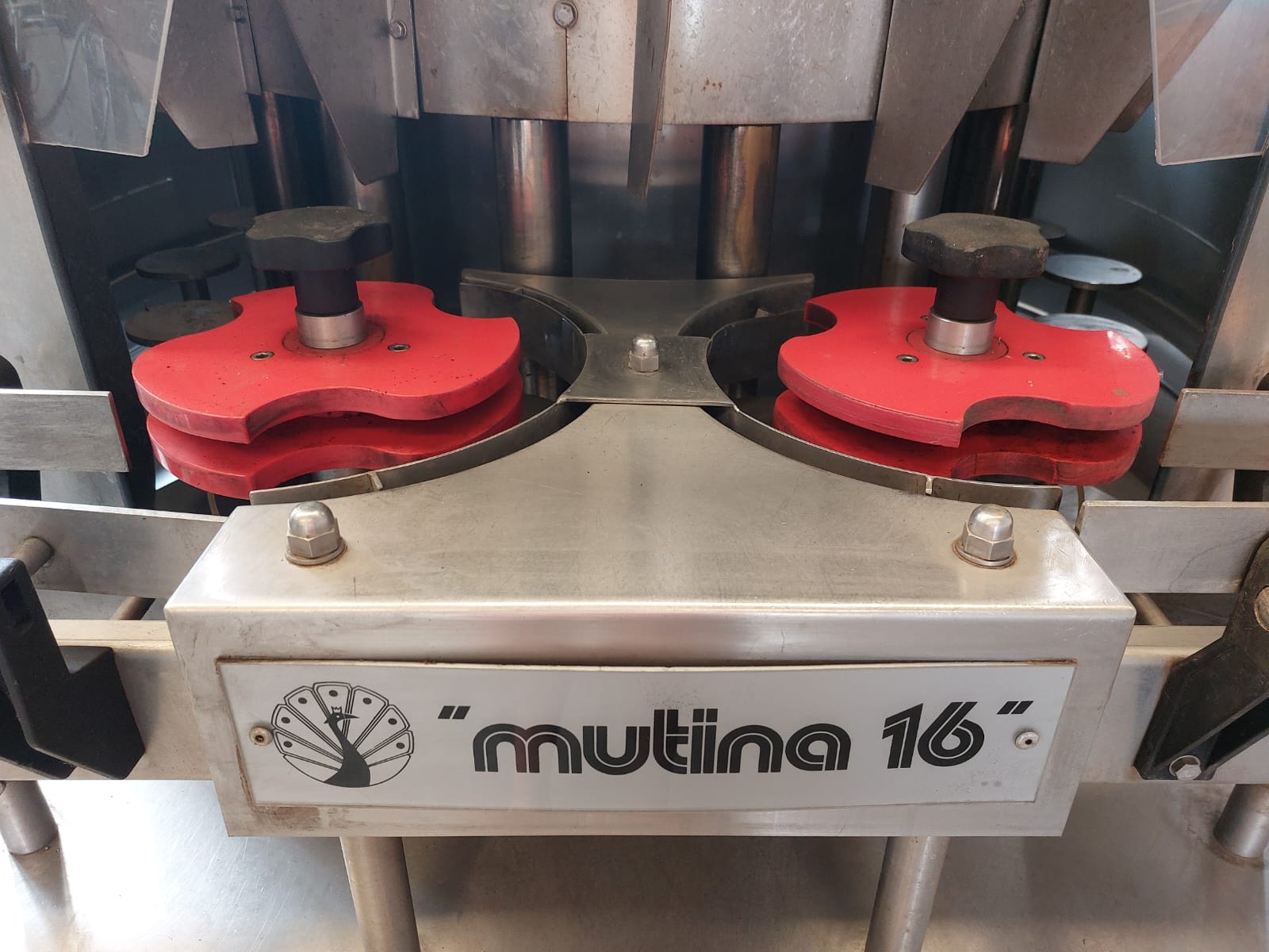 R87 Riempitrice isobarica Vir Mauri MUTINA 16 usata in vendita - foto 14