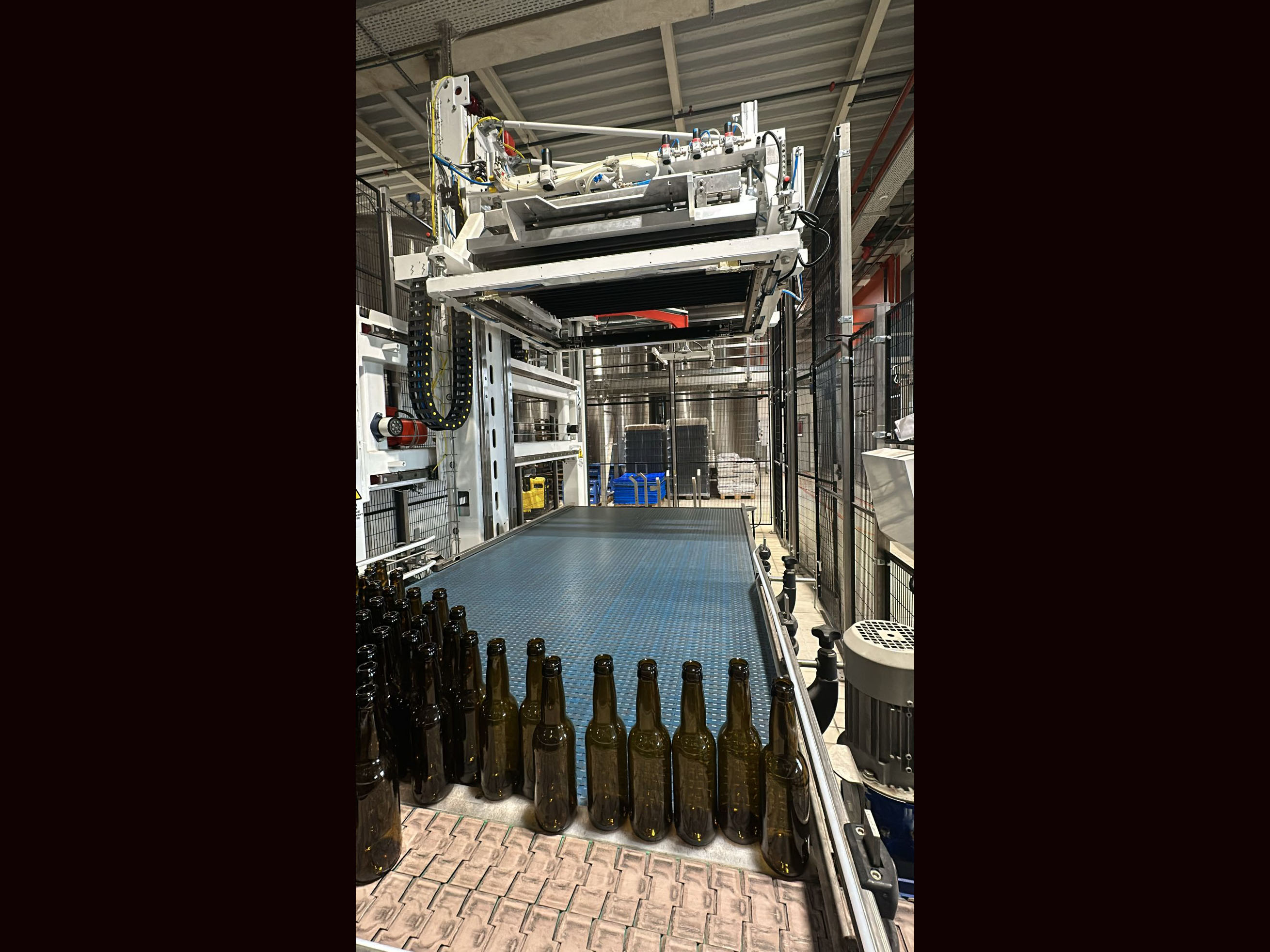 Rif:DEPAL35 Depallettizzatore APE Automatico anno 2021  in vendita - foto 3