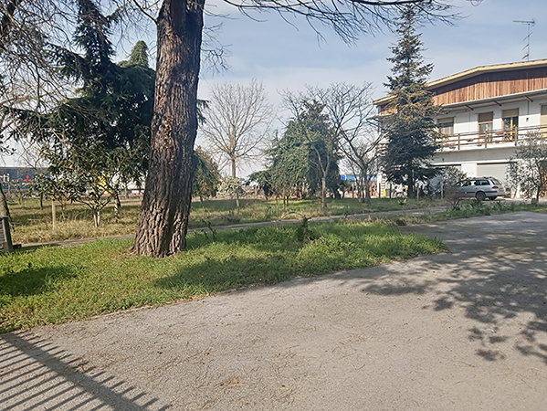 Capannone 860 m2 con sala mostra, uffici, appartamento  in vendita - foto 9