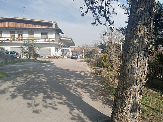 Capannone 860 m2 con sala mostra, uffici, appartamento  in vendita - foto 4