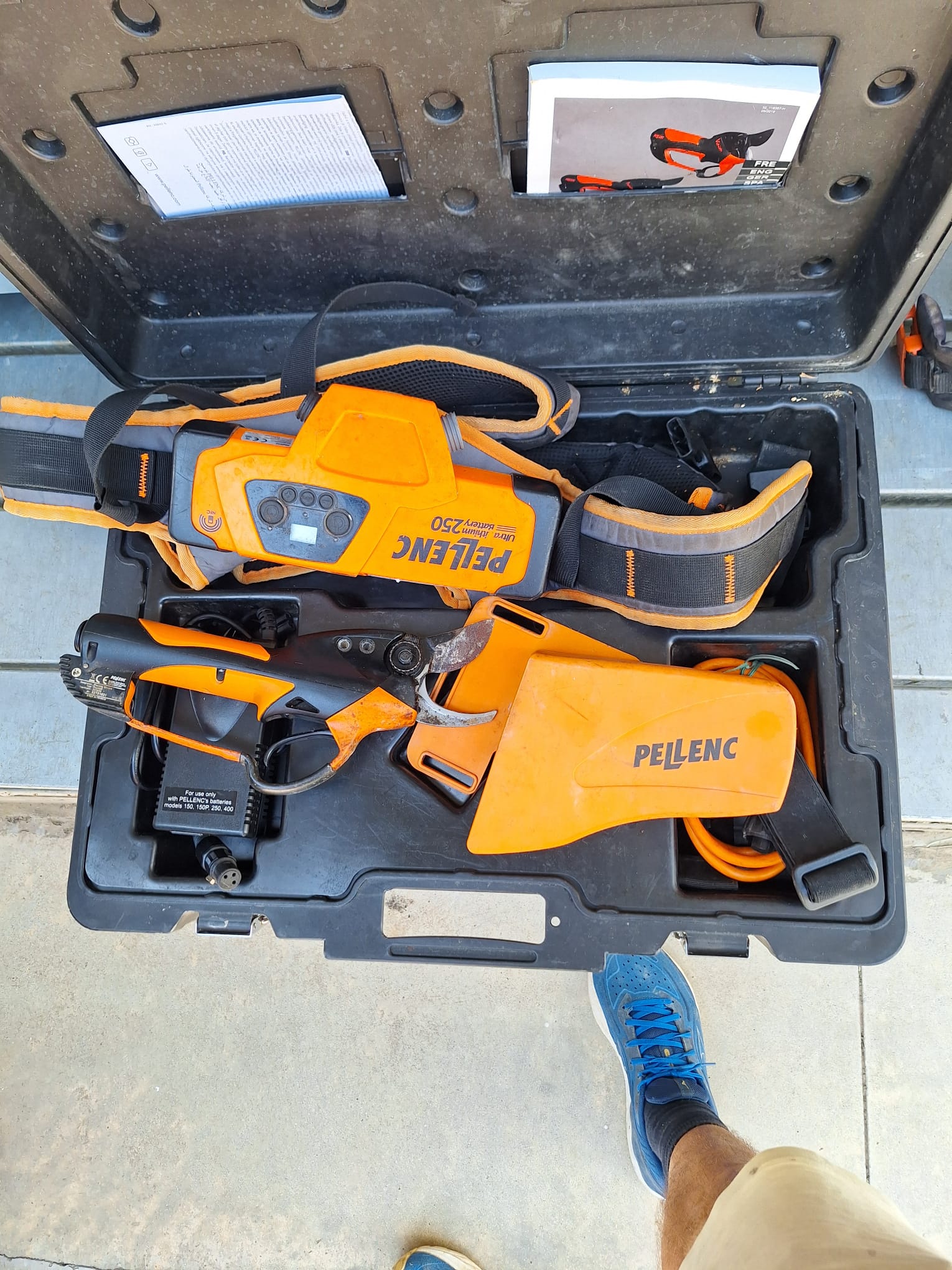 Forbici a batteria Pellenc Prunion in vendita - foto 1