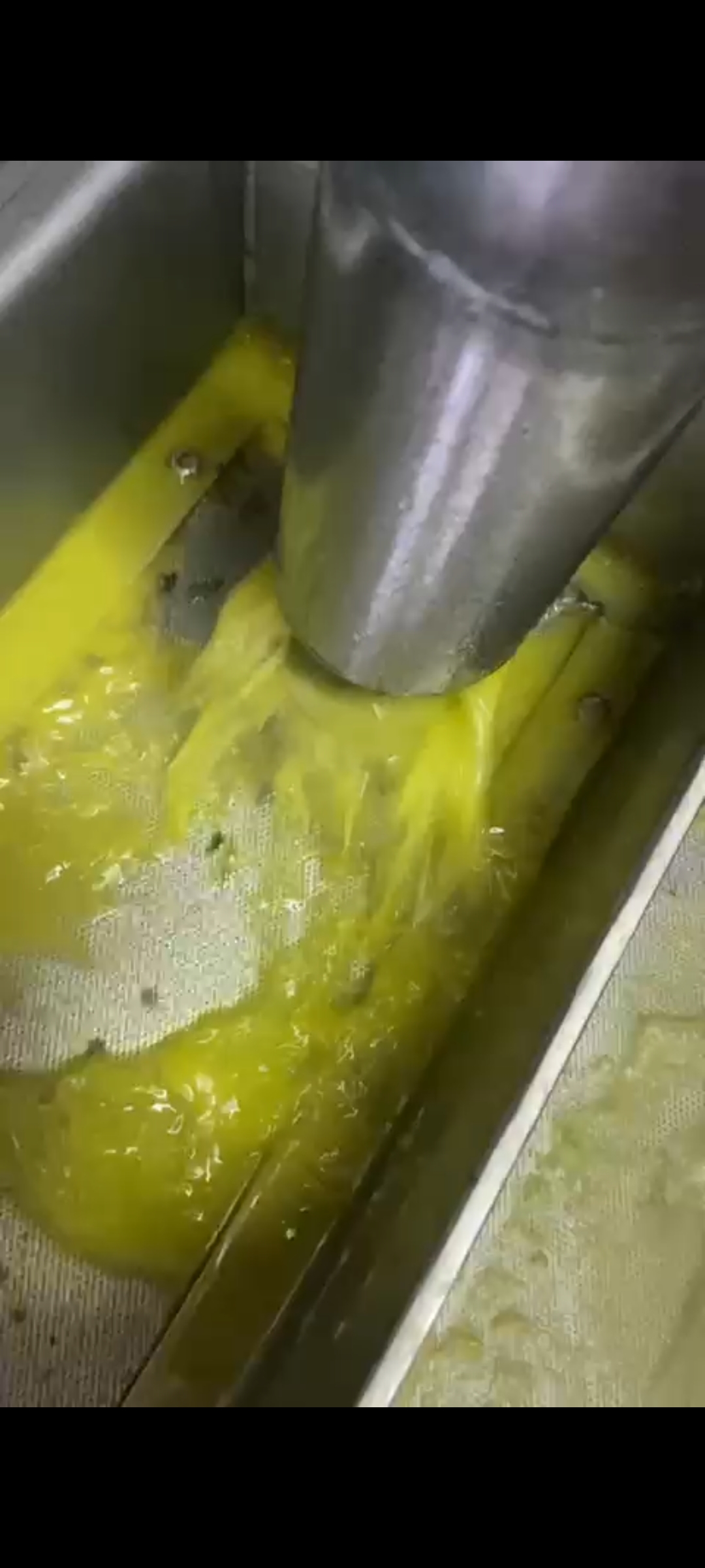 Frantoio a ciclo continuo Amenduni 902-S in vendita - foto 10