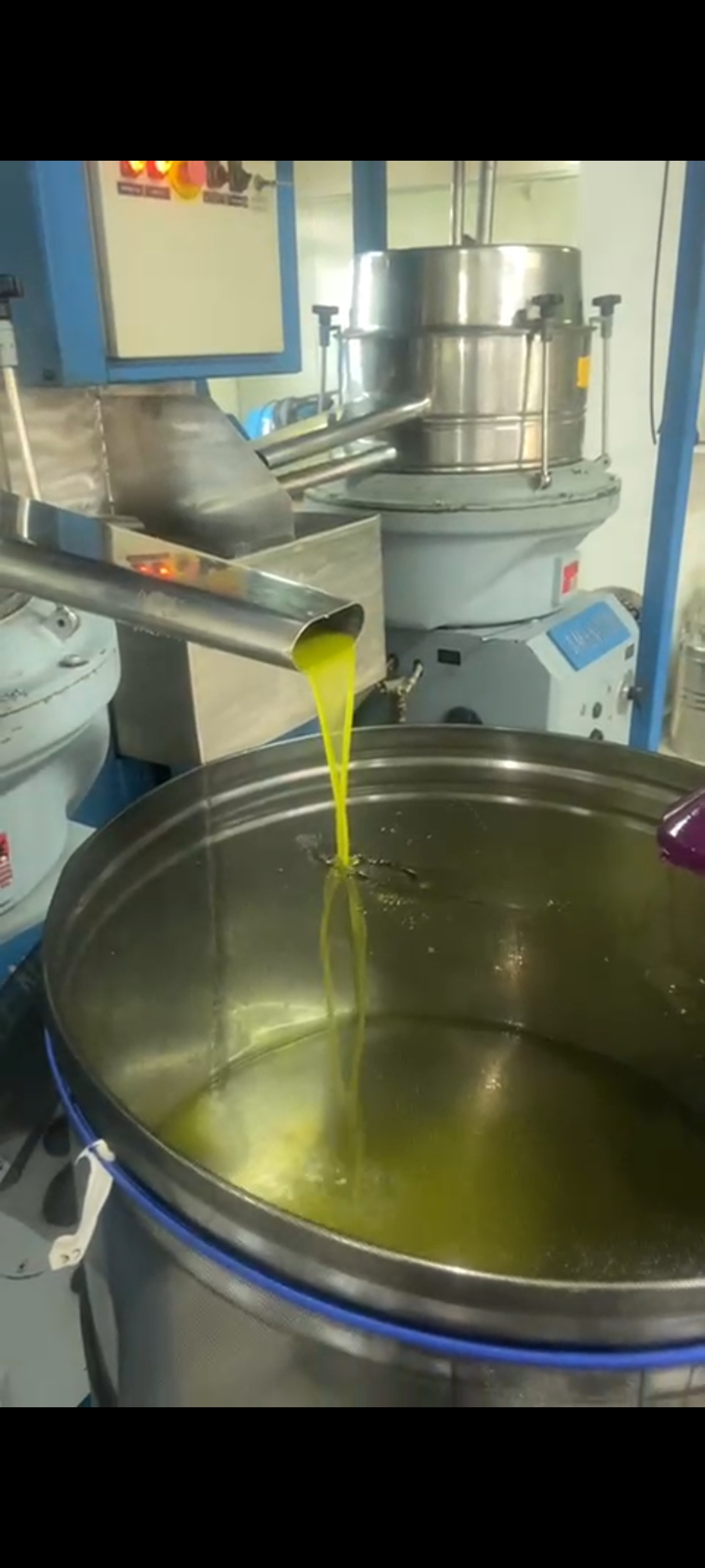 Frantoio a ciclo continuo Amenduni 902-S in vendita - foto 9