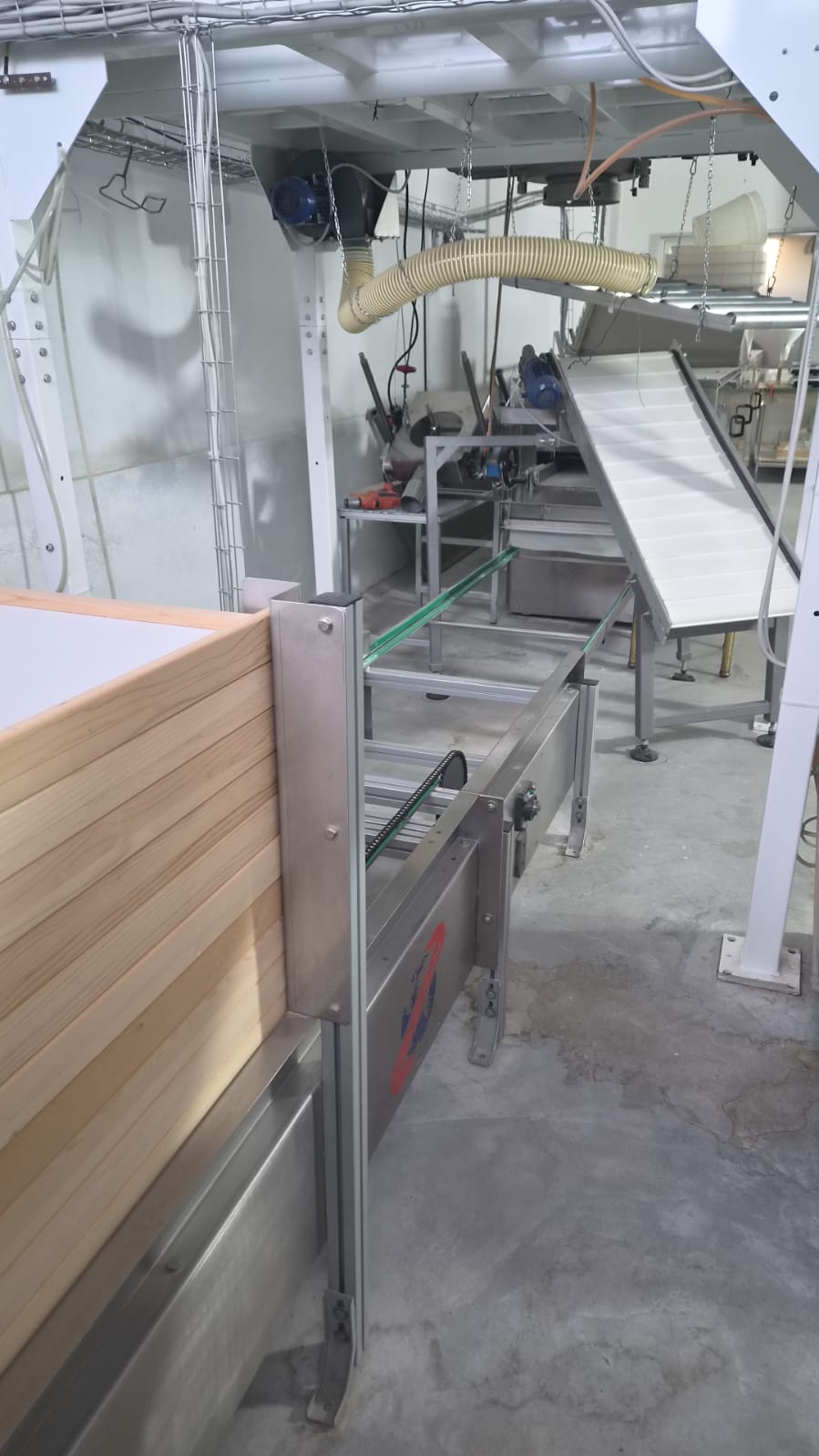 Macchinari Pasta Linea Pastificio in vendita - foto 10