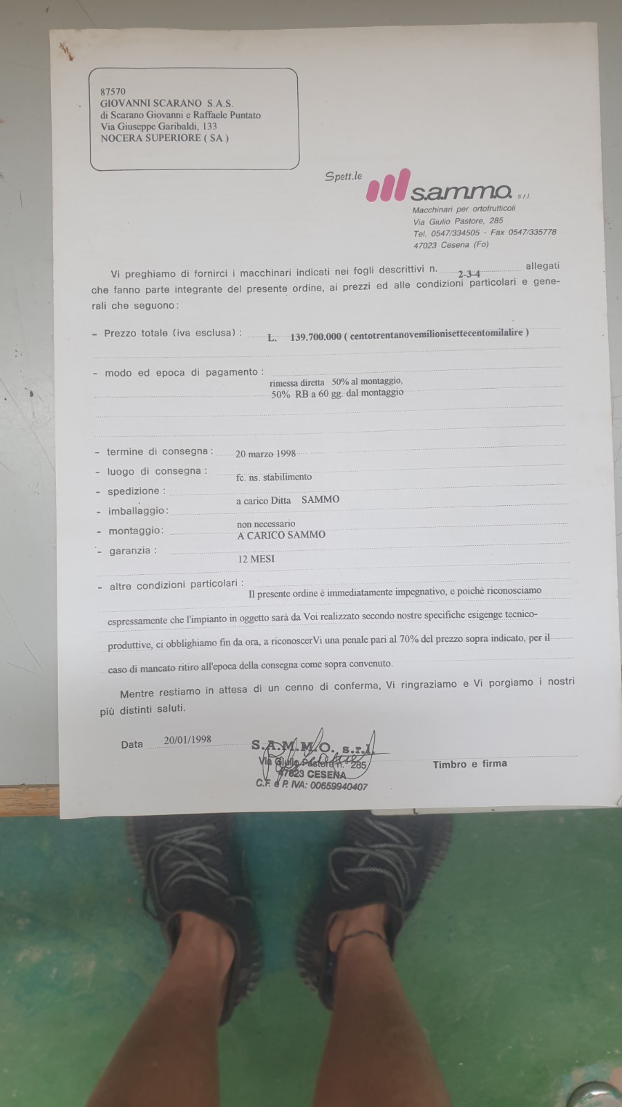 Calibratrice per pesche e ogni tipologia di agrume in vendita - foto 4