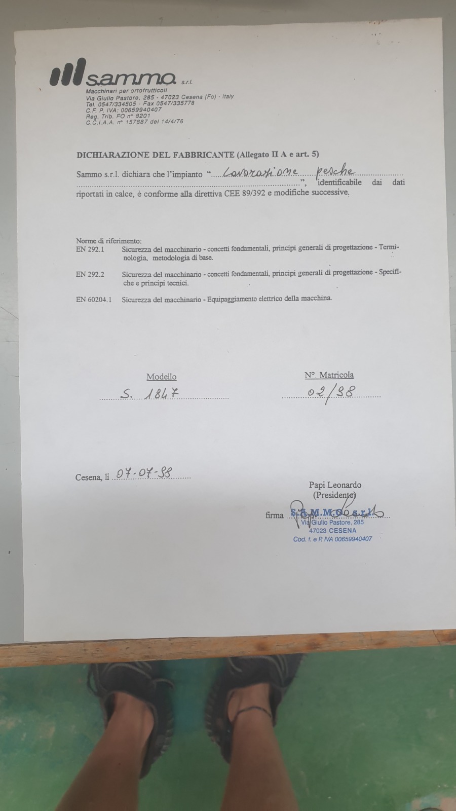 Calibratrice per pesche e ogni tipologia di agrume in vendita - foto 3