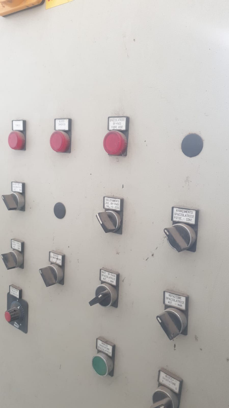 Calibratrice per pesche e ogni tipologia di agrume in vendita - foto 5