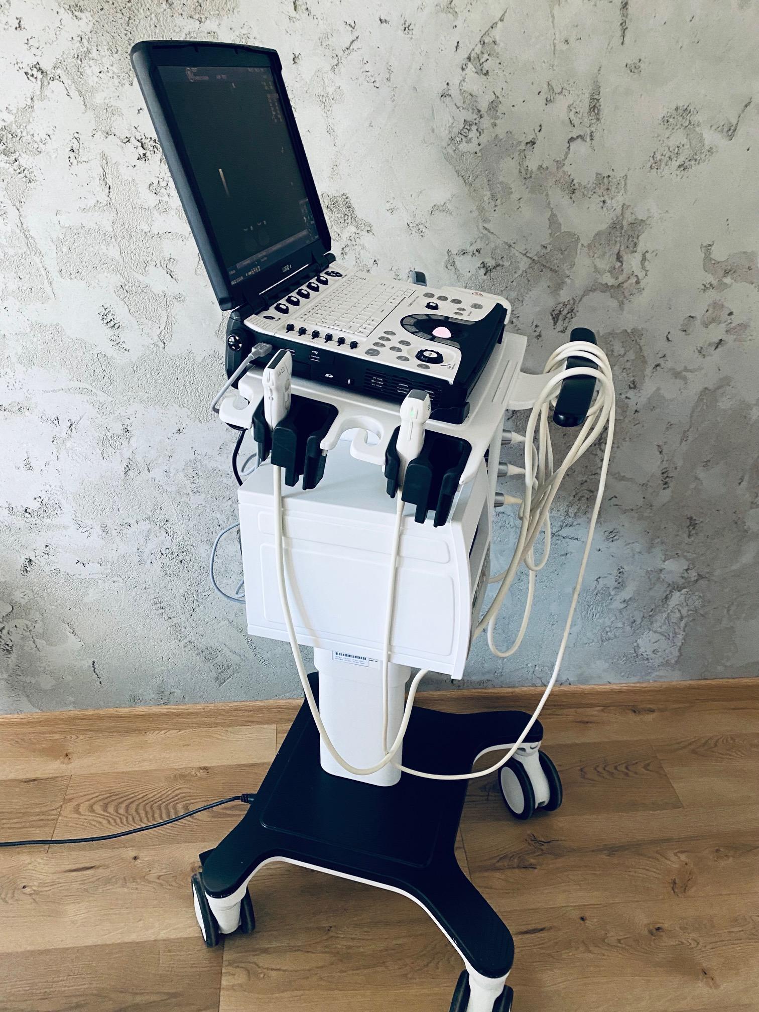 Ecografo Portatile GE Logiq E in vendita - foto 3