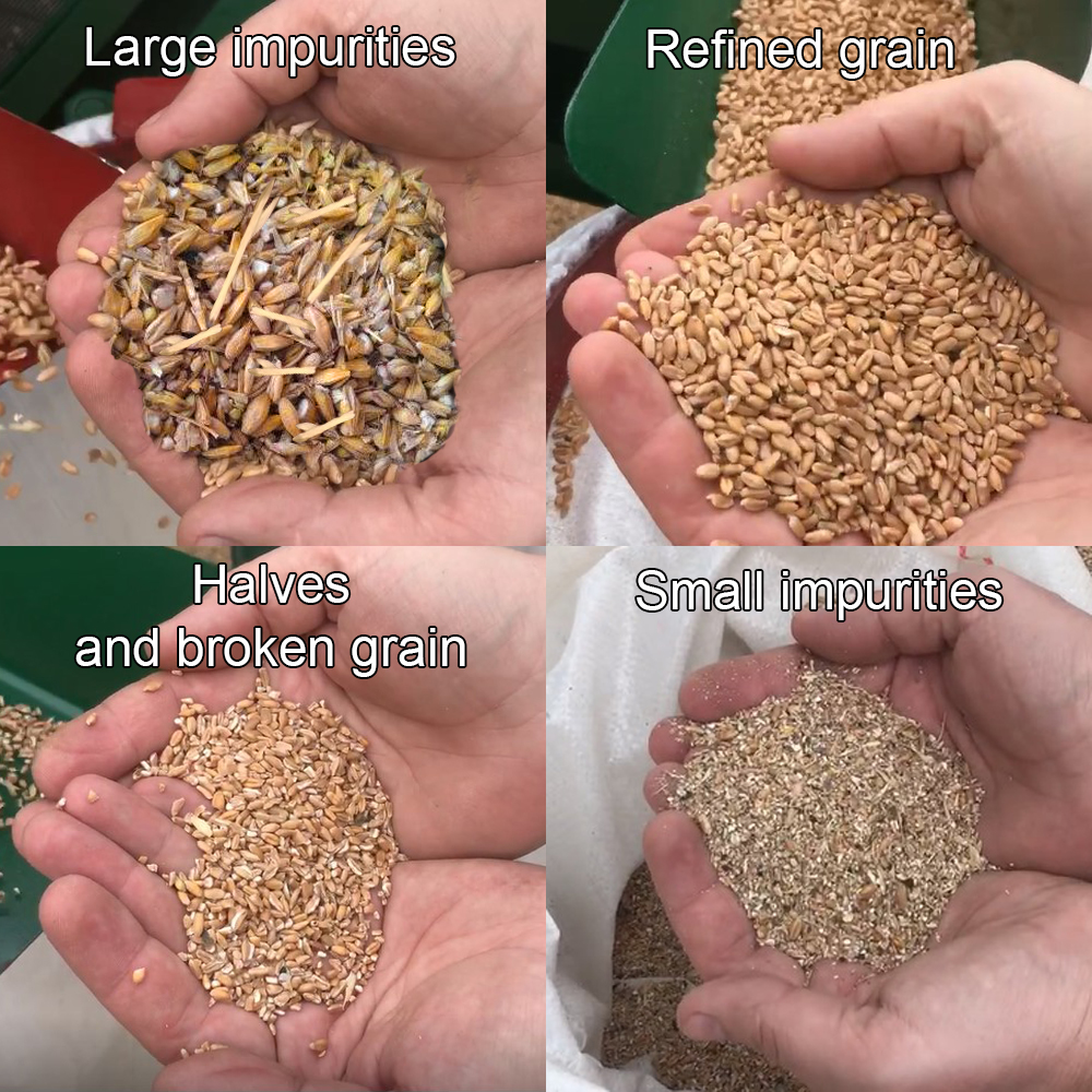Pulitore Calibratore per Sementi e Cereali  600 kg/h in vendita - foto 7