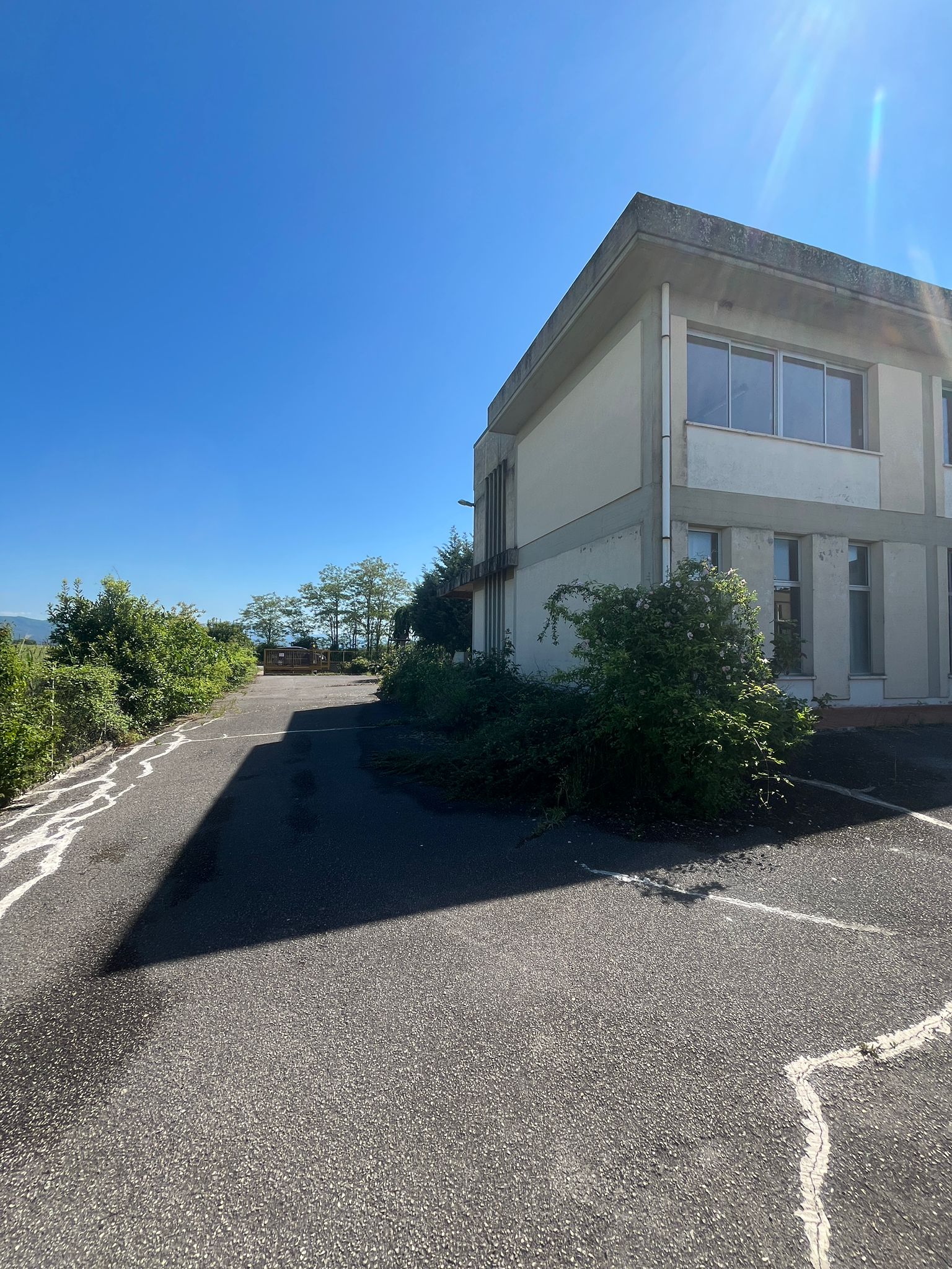 Capannone Via Del Bagno 5 Pergine Valdarno in vendita - foto 3