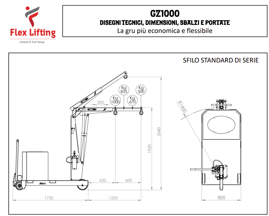 GRU AXA GZ1000 in vendita - foto 3