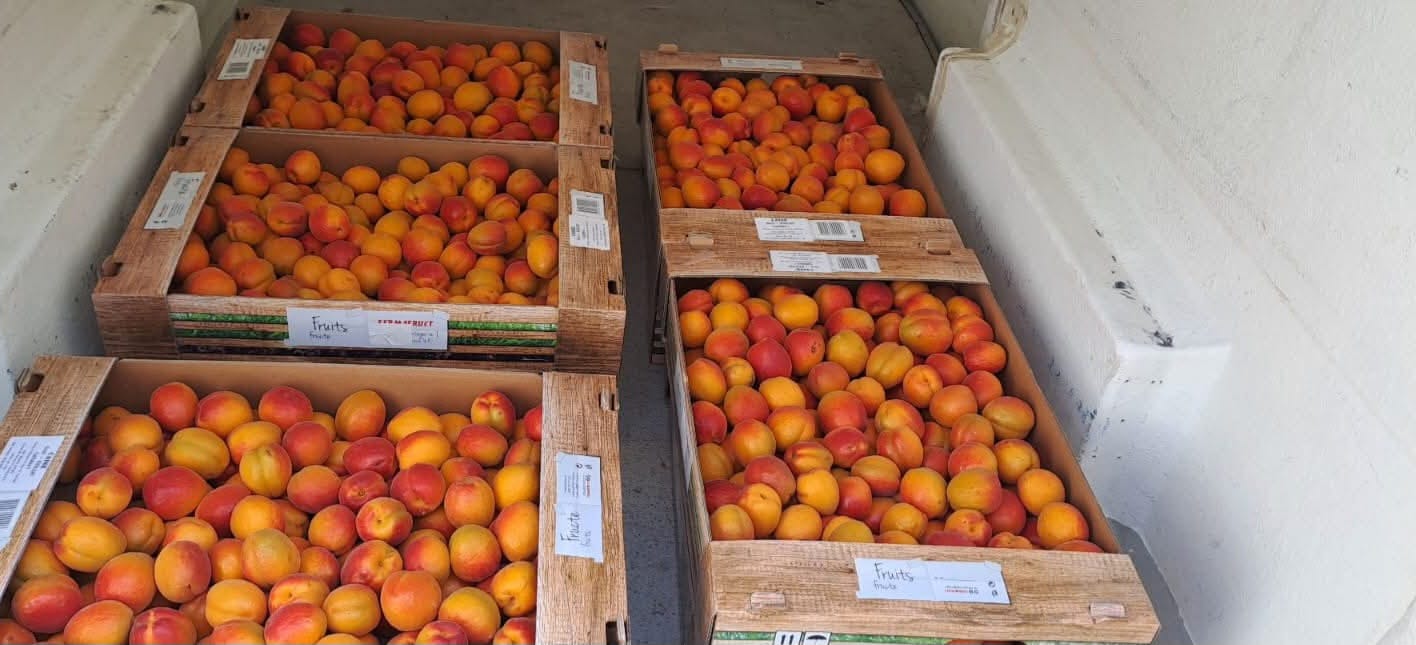 FRUTTETO MODERNO IN ROMANIA in vendita - foto 4