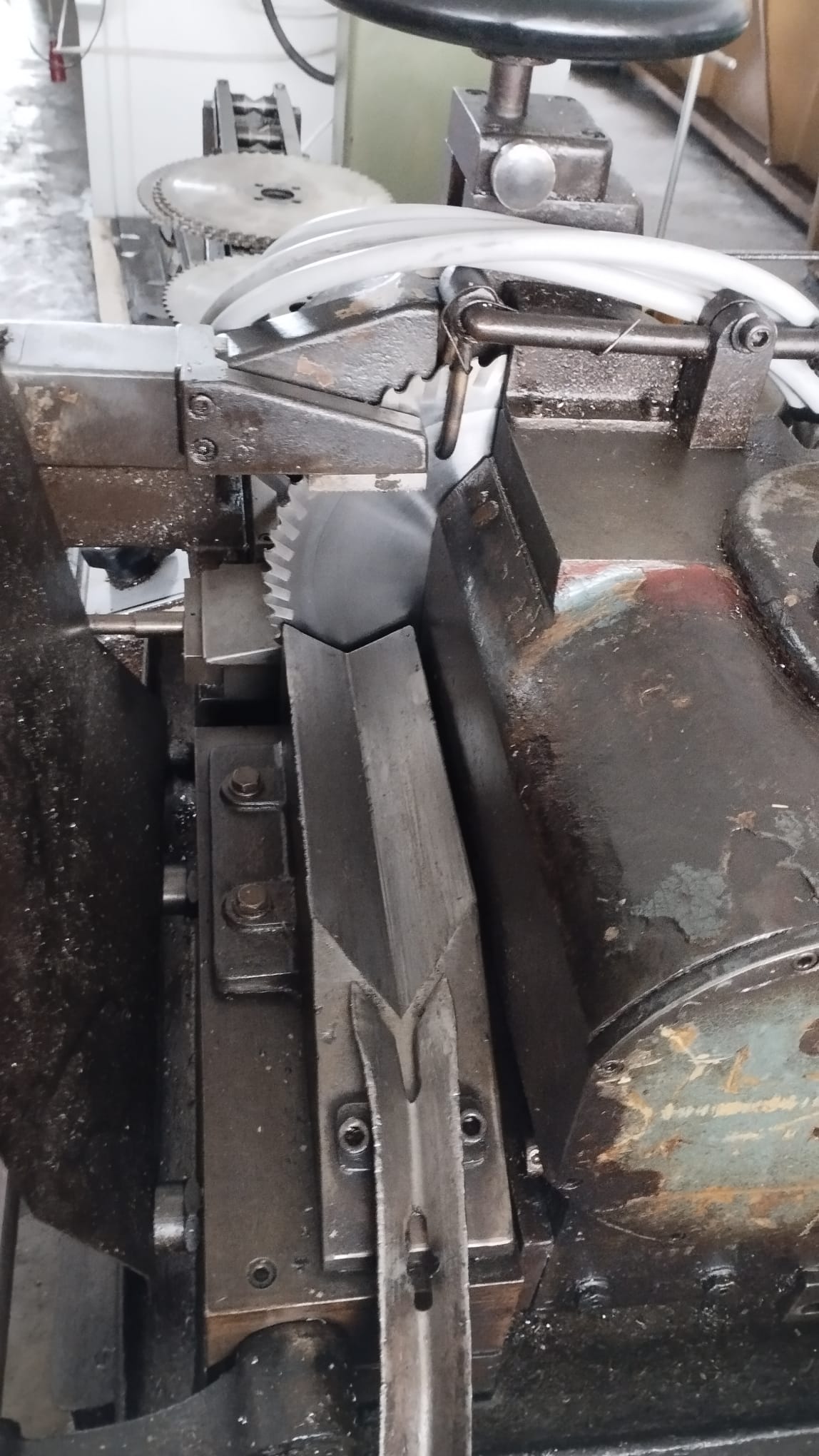 Segatrice circolare per tondi ORLANDI in vendita - foto 5