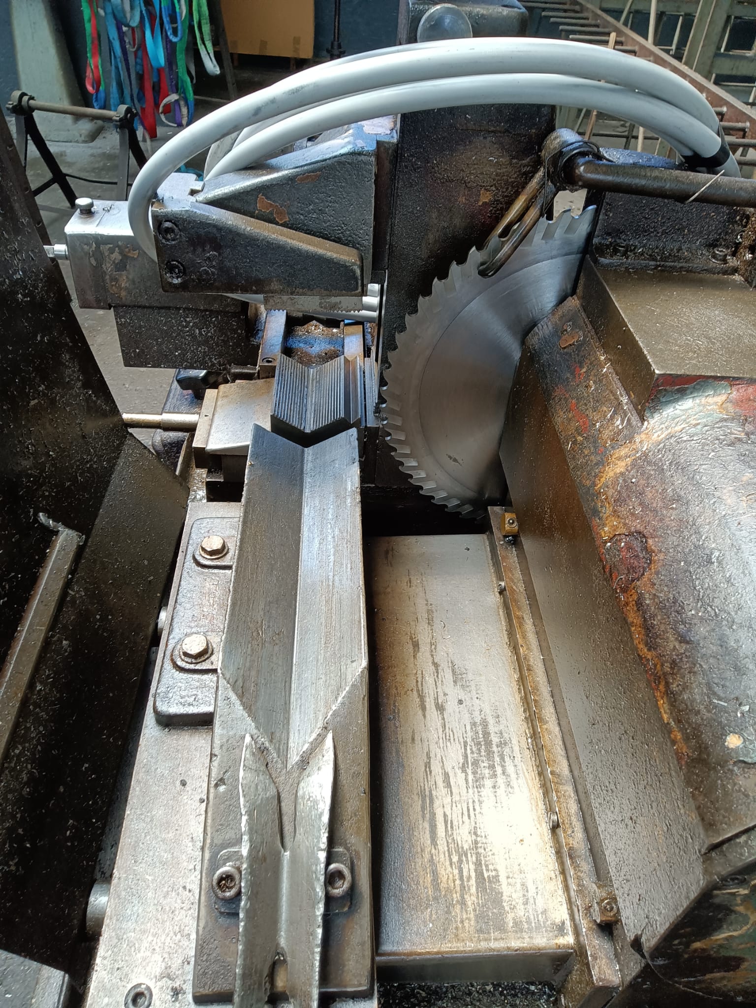 Segatrice circolare per tondi ORLANDI in vendita - foto 6