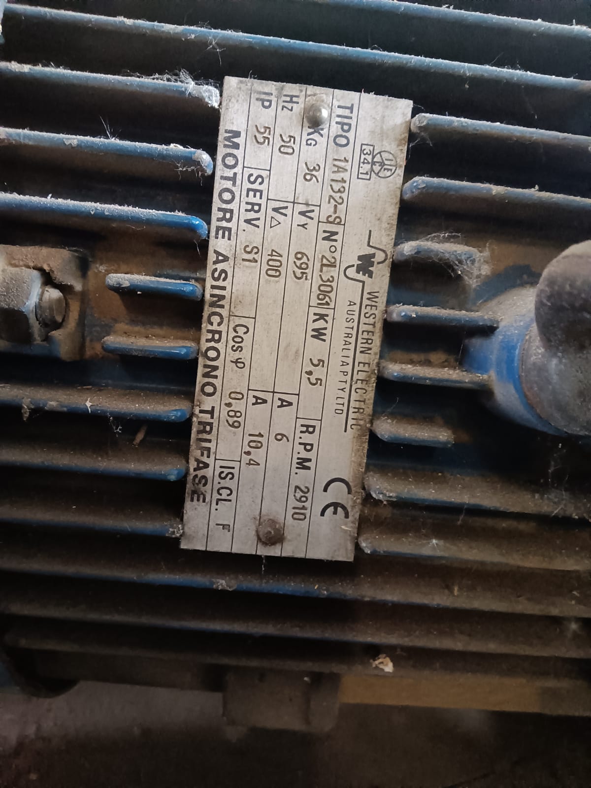 Ventilatore centrifugo a trasmissione WESTERN ELECTRIC in vendita - foto 3