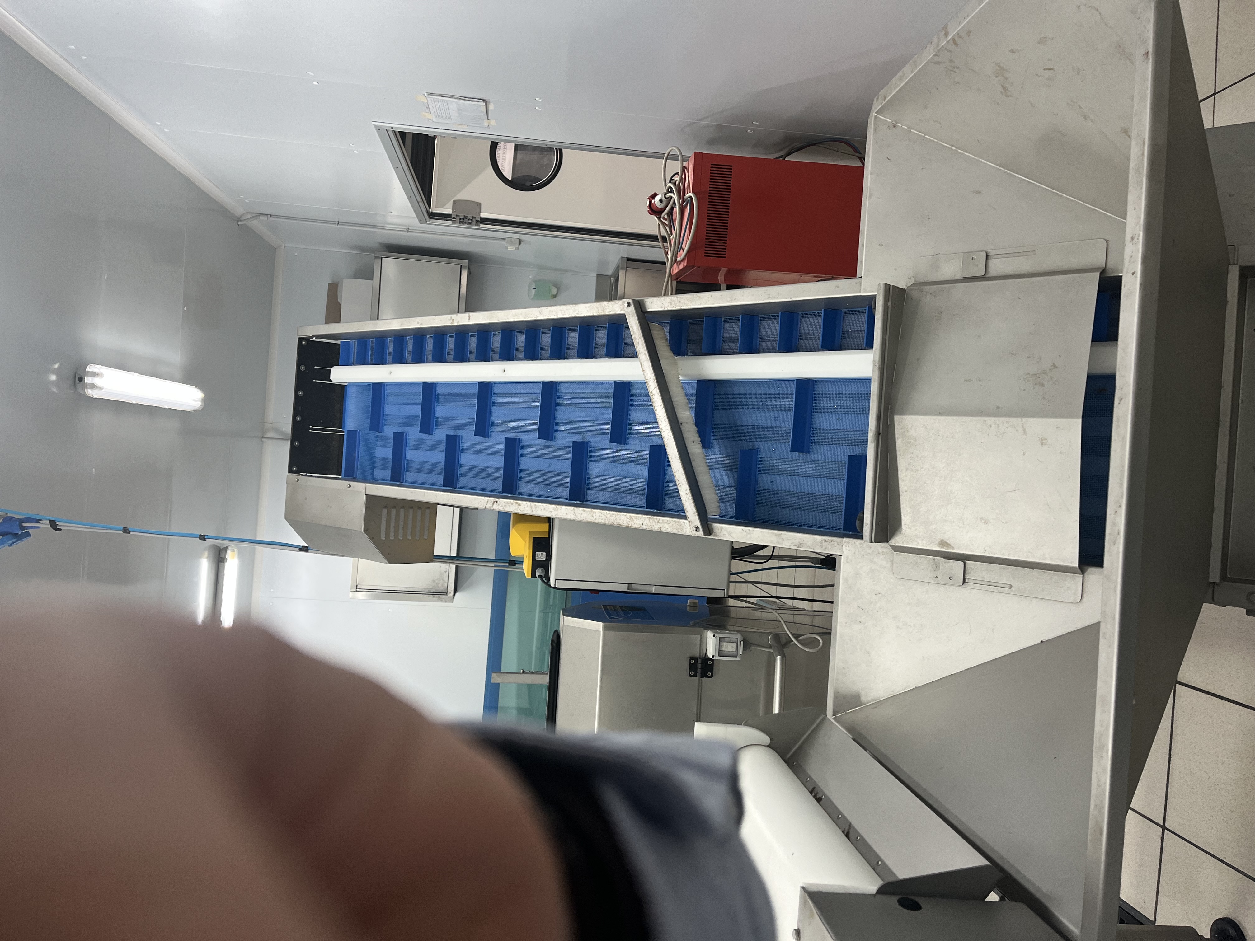 Attrezzature Linea Lavorazione Molluschi in vendita - foto 15