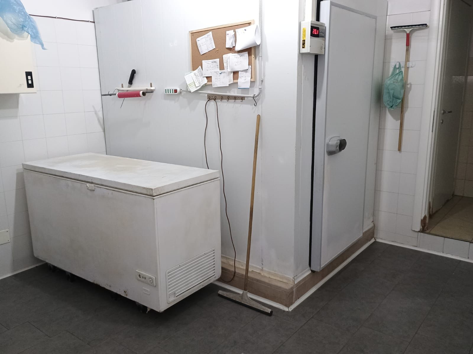 Cella positiva e congelatore a pozzetto  in vendita - foto 1
