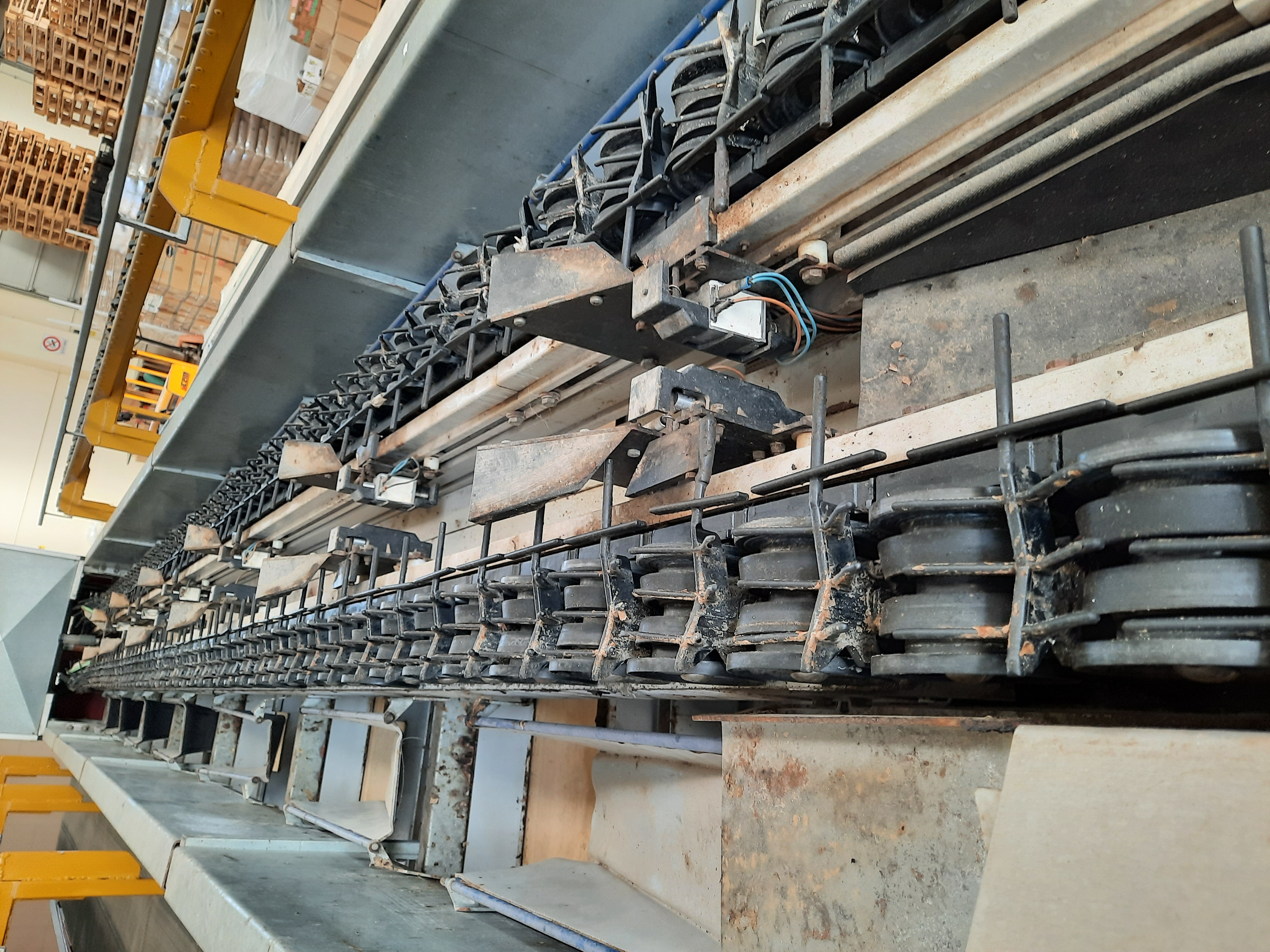 Linea lavorazione pesche in vendita - foto 3
