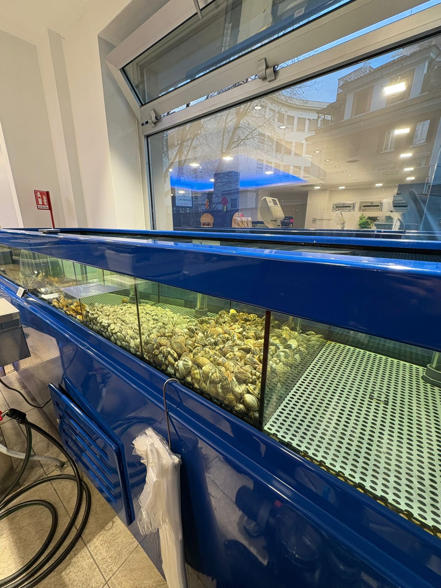 Arredo pescheria specializzata o cessione attività in vendita - foto 3