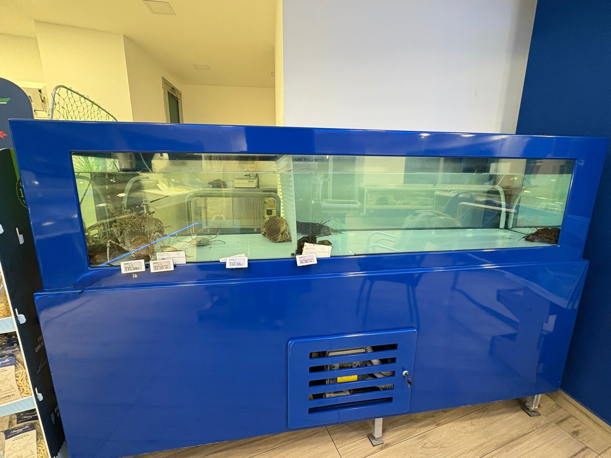Arredo pescheria specializzata o cessione attività in vendita - foto 7