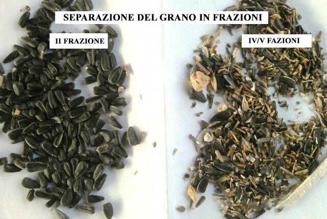 Detergente per cereali / Separatore aerodinamico ASM-15 in vendita - foto 5