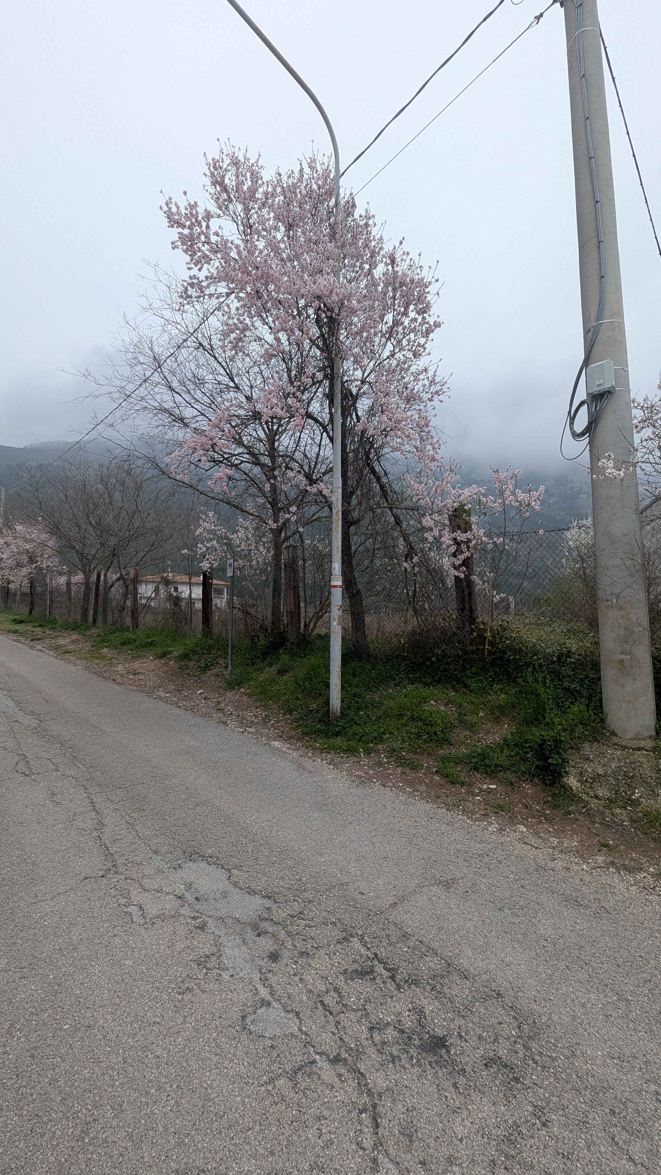 Badia Morronese - Le Valliere, nel Comune di Sulmona in vendita - foto 10