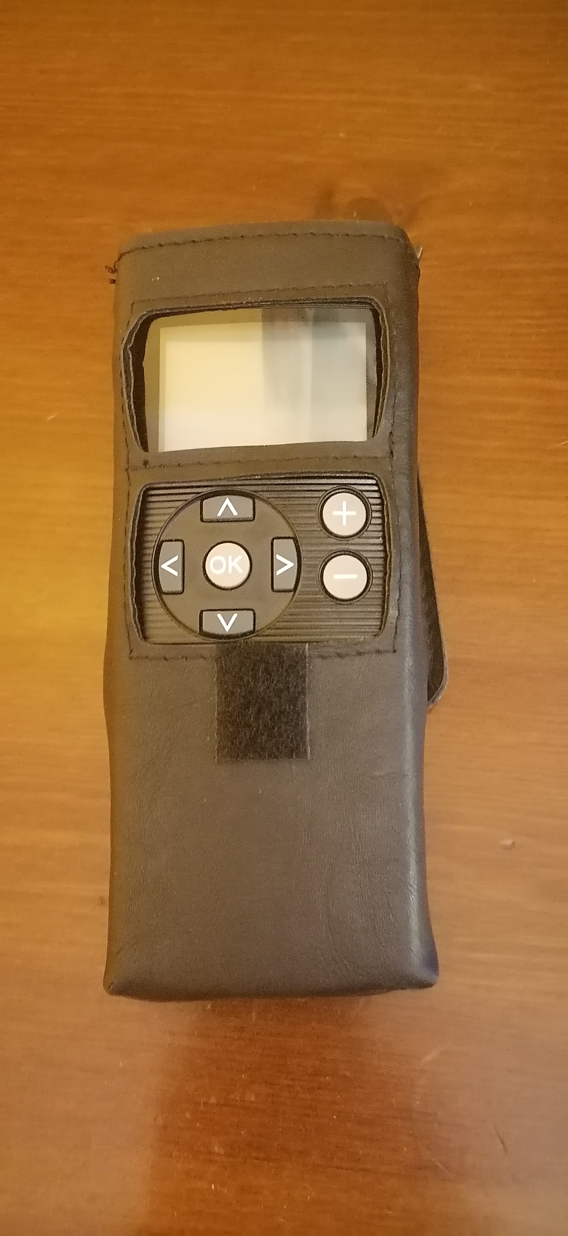 Telecomando Grundfos R100 in vendita - foto 3
