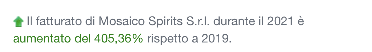Quota il tuo gin srl. in vendita - foto 2