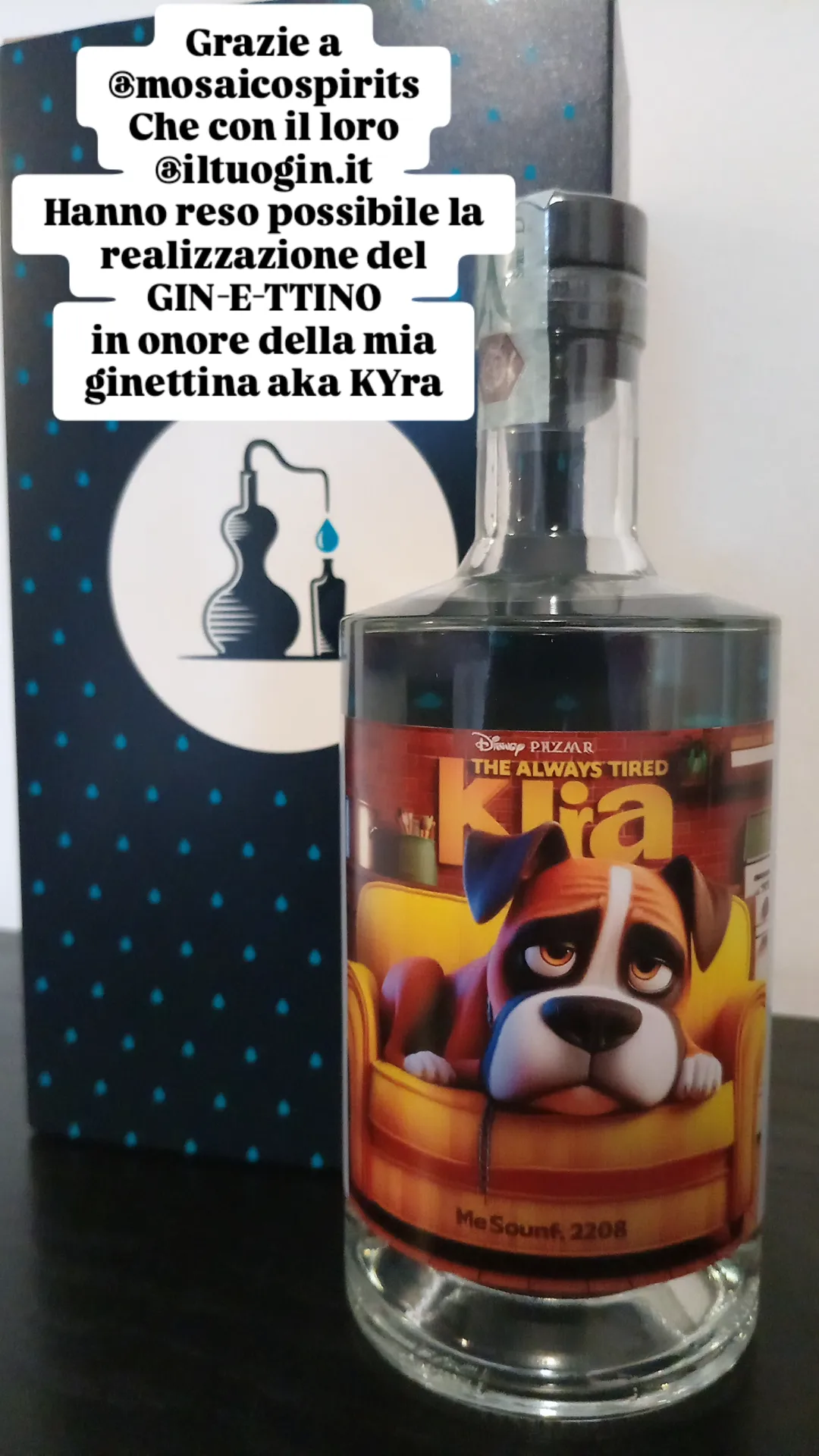 Vendo Quota IlTUOGIN. IT in vendita - foto 2