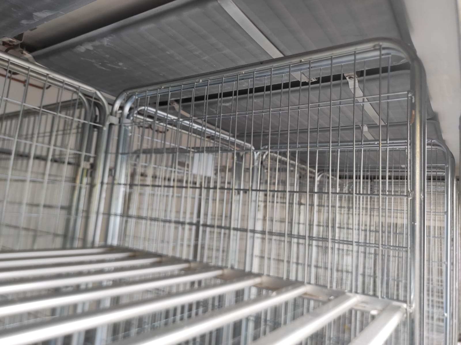 CELLA FRIGO SURGELATI GELATI in vendita - foto 3
