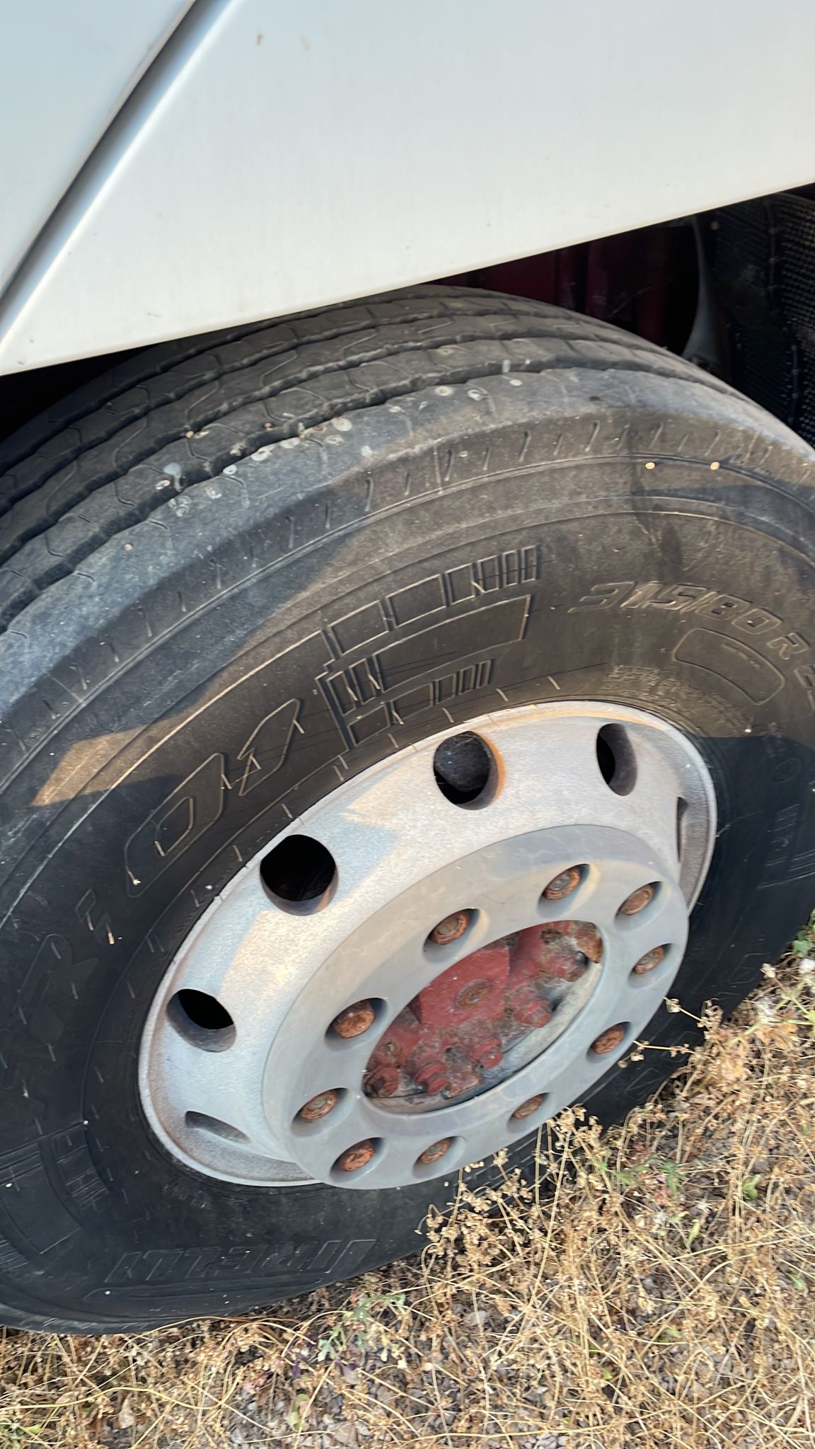 EUROSTAR 430 TRATTORE IMPIANTO IDRAULICO ZF  in vendita - foto 9
