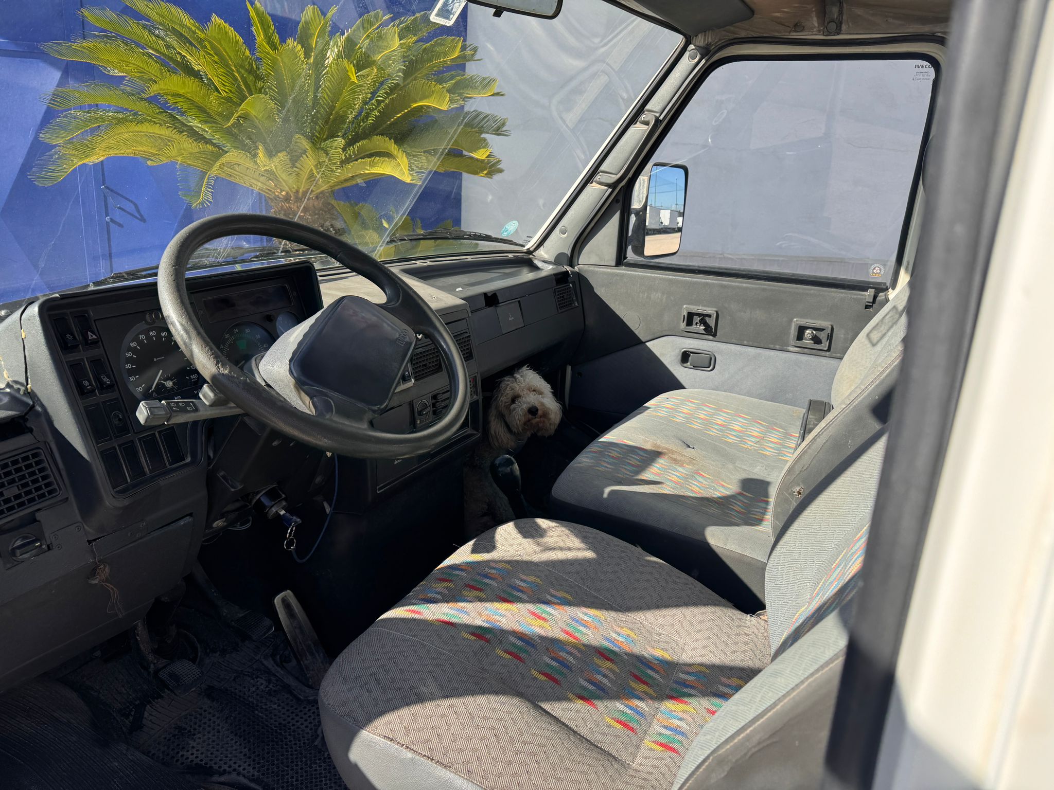 IVECO TURBO DAILY 35E12 RIB.TRIL in vendita - foto 3