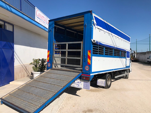 IVECO EUROCARGO 75E15 TRASPORTO CAVALLI-ANIMALI VIVI in vendita - foto 4