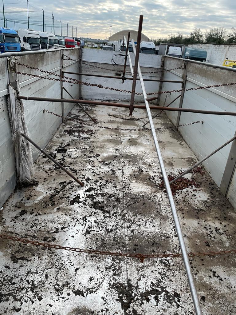 RIMORCHIO BARTOLETTI RIBALTABILE BIL in vendita - foto 3