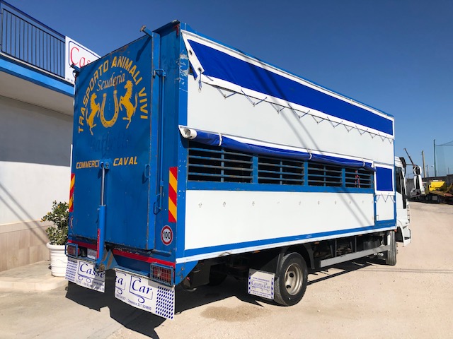 IVECO EUROCARGO 75E15 TRASPORTO CAVALLI-ANIMALI VIVI in vendita - foto 5