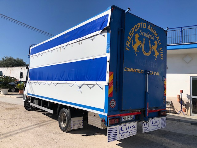 IVECO EUROCARGO 75E15 TRASPORTO CAVALLI-ANIMALI VIVI in vendita - foto 4
