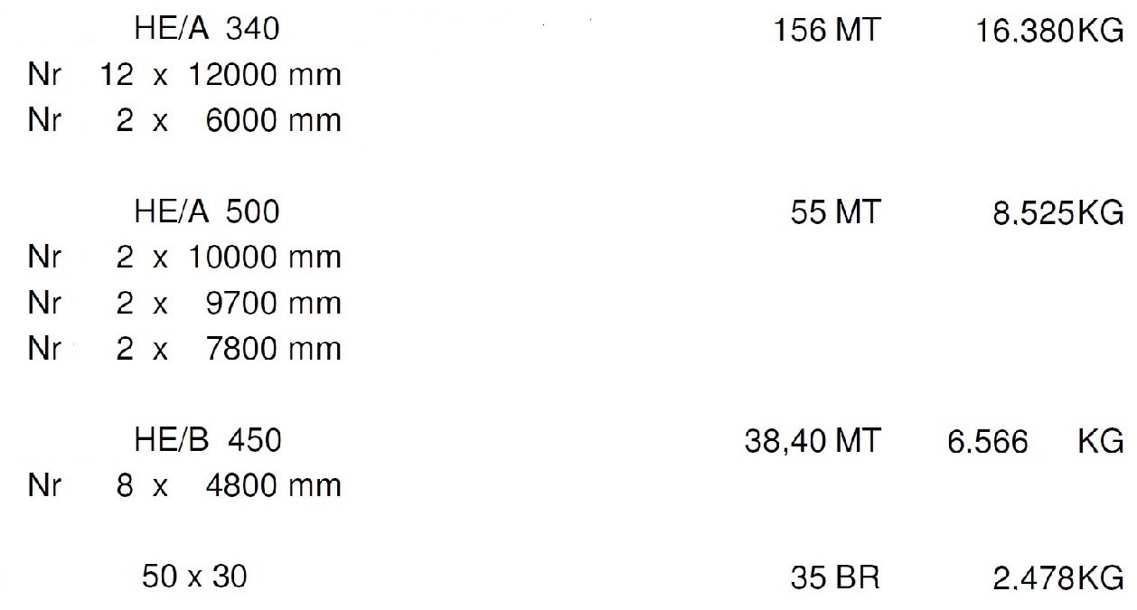 CARROPONTE BITRAVE PARACCHI 20 TON in vendita - foto 6
