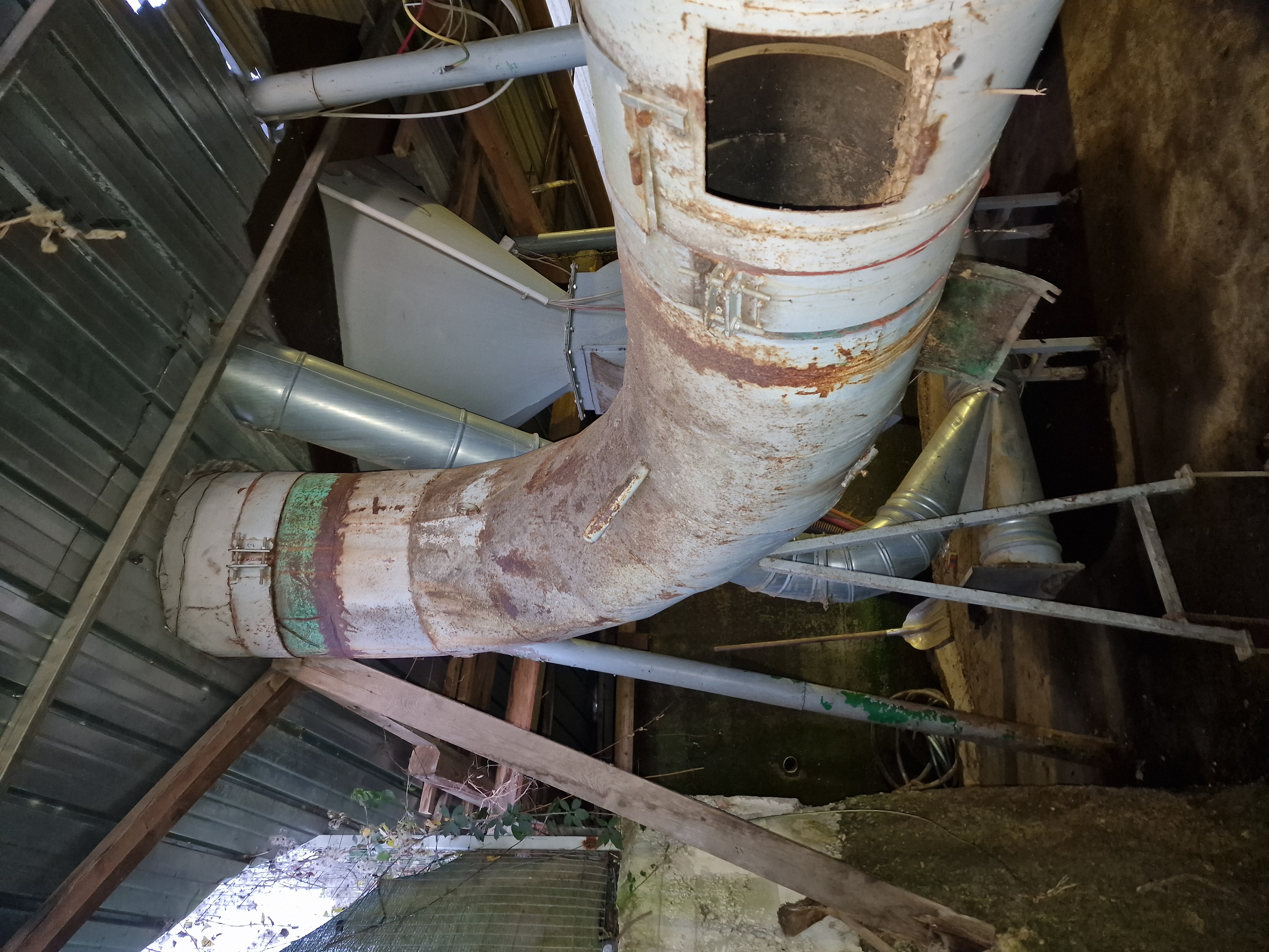 IMPIANTO COMPLETO PER LA PRODUZIONE DI PELLET in vendita - foto 6